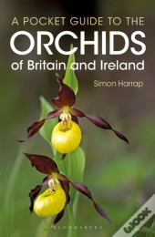 Pocket Guide To The Orchids Of Britain And Ireland