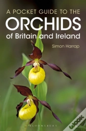 Capa do artigo Pocket Guide To The Orchids Of Britain And Ireland