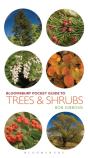 Pocket Guide To Trees And Shrubs - Preview