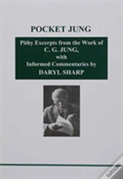 Capa do artigo Pocket Jung