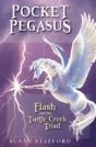 Pocket Pegasus - Preview