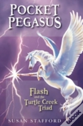 Pocket Pegasus