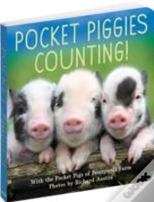Pocket Piggies Numbers!