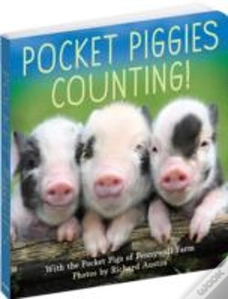 Capa do artigo Pocket Piggies Numbers!