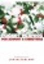Pocket Prayers For Advent And Christmas - Preview
