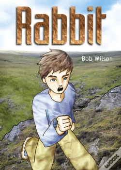 Capa do artigo Pocket Tales Year 6 Rabbit