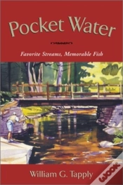 Capa do artigo Pocket Water