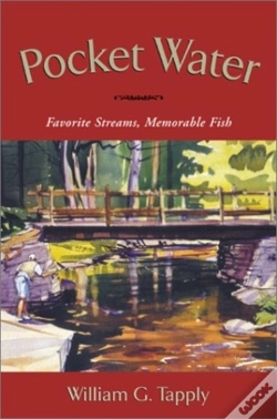 Capa do artigo Pocket Water