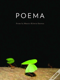 Capa do artigo Poema