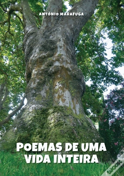 Capa do artigo Poemas de uma Vida Inteira