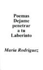 Poemas Dejame Penetrar A Tu Laberinto - Preview