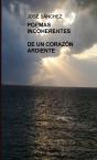 Poemas Incoherentes De Un Corazon Ardiente - Preview