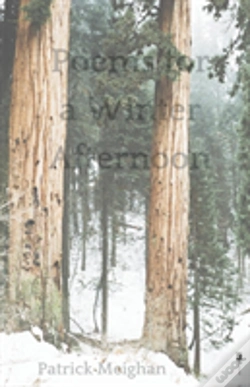 Capa do artigo Poems For A Winter Afternoon