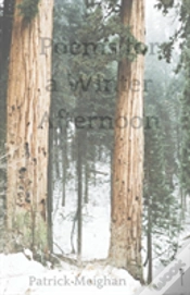 Capa do artigo Poems For A Winter Afternoon