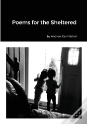Capa do artigo Poems For The Sheltered