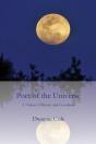 Poet Of The Universe - Preview