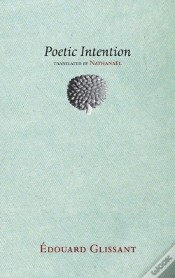 Capa do artigo Poetic Intention