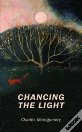 Poetry Chancing The Light