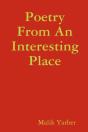 Poetry From An Interesting Place - Preview