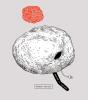 Poetry Is Useless - Preview