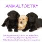 Poetry Of Animals - Preview