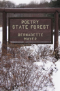Poetry State Forest - Preview