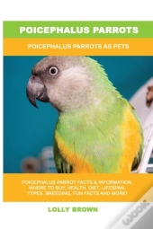 Poicephalus Parrots