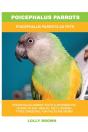 Poicephalus Parrots - Preview