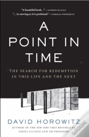 Capa do artigo Point In Time