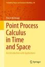 Point Process Calculus In Time And Space - Preview