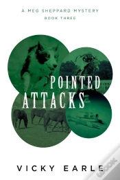 Capa do artigo Pointed Attacks