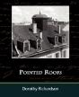 Pointed Roofs - Preview