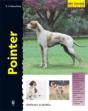 Pointer - Preview