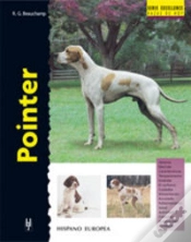 Capa do artigo Pointer