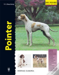 Capa do artigo Pointer