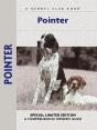 Pointer - Preview