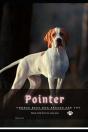 Pointer - Preview