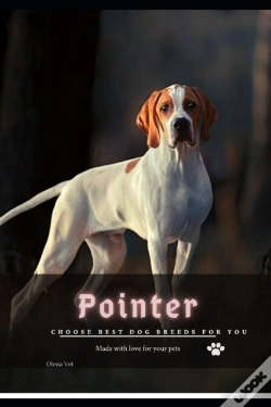 Capa do artigo Pointer