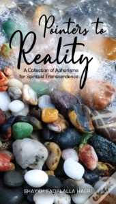 Pointers To Reality