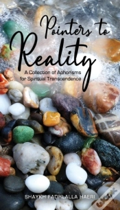 Capa do artigo Pointers To Reality