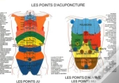 Points D'Acuponcture - Planche A4