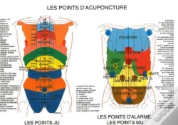 Capa do artigo Points D'Acuponcture - Planche A4