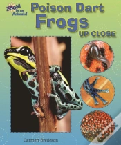 Capa do artigo Poison Dart Frogs Up Close