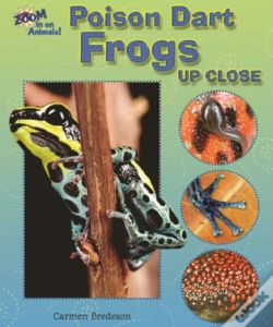 Capa do artigo Poison Dart Frogs Up Close