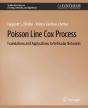 Poisson Line Cox Process - Preview