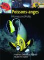Poissons-Anges ; Pomacanthides - Preview