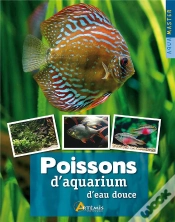 Capa do artigo Poissons D Aquarium D Eau Douce