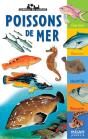 Poissons De Mer - Preview