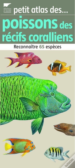 Capa do artigo Poissons Des Récifs Coralliens