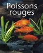 Poissons Rouges - Preview
